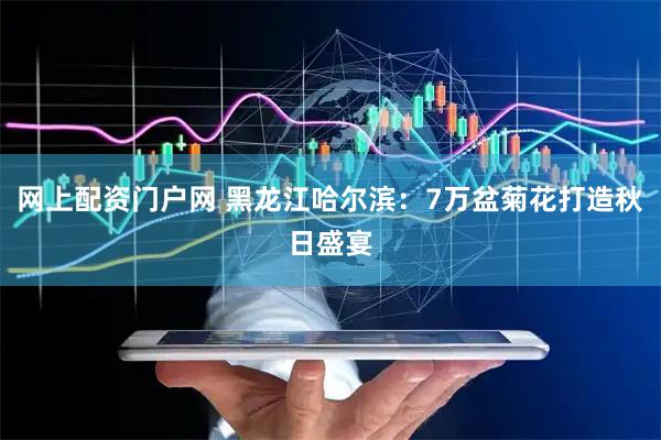 网上配资门户网 黑龙江哈尔滨：7万盆菊花打造秋日盛宴